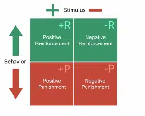 Negative Reinforcement Examples